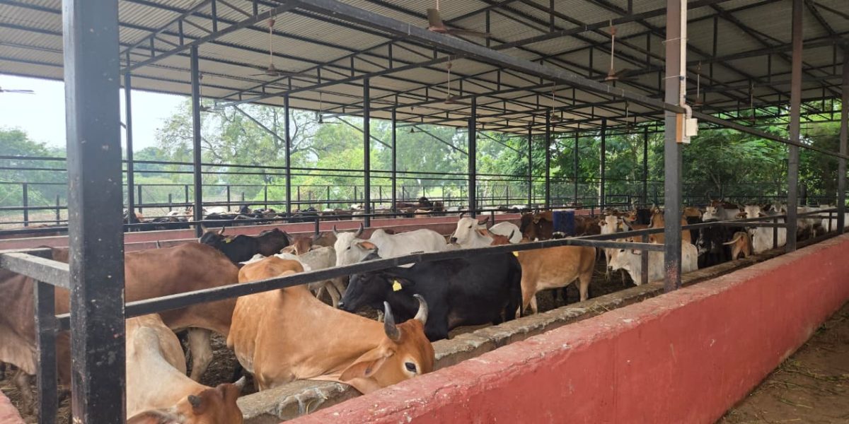 WhatsApp Image 2025-10-22 at 12.24.54 PM